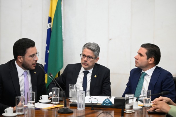 Deputado Jadyel Alencar possui protagonismo na Câmara dos Deputados