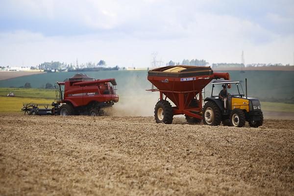 Estimativa para produção de soja em 2025 é de 164,3 milhões de toneladas, umrecorde para a leguminosa - Foto: Gilson Abreu/AEN-PR