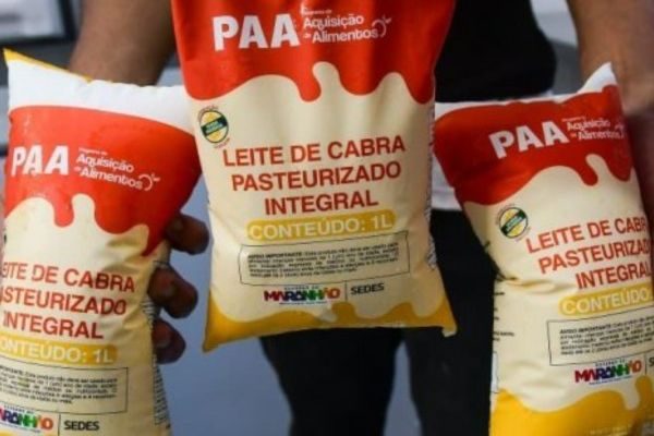 Tamanho foto notícia padrão - 2025-11-27T151727.255