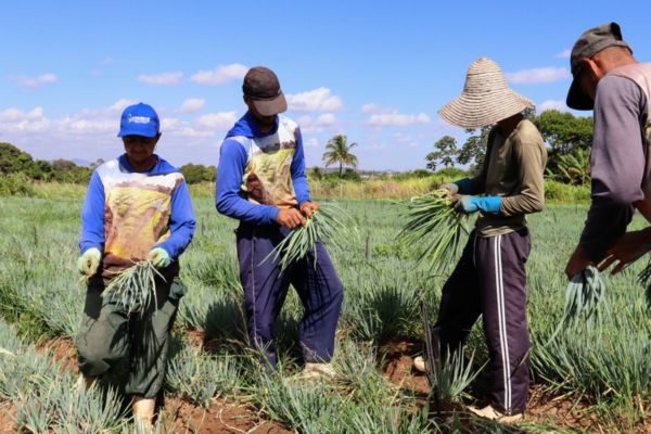Tamanho foto notícia padrão - 2025-12-22T090855.417